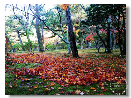 京都,銀閣寺