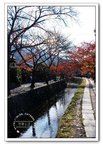 京都,哲學之道