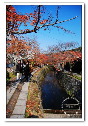 京都,哲學之道