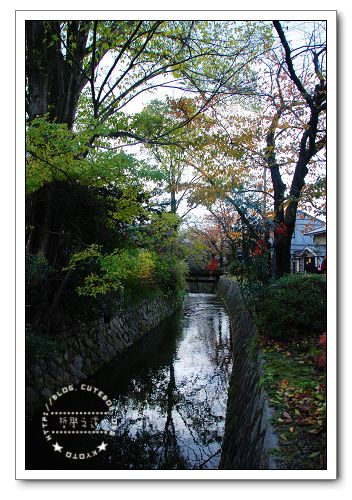 京都,哲學之道