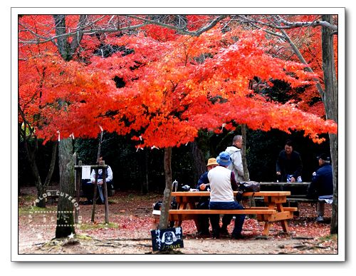 京都,真如堂