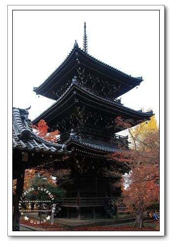 京都,真如堂