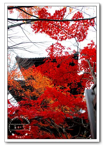 京都,真如堂