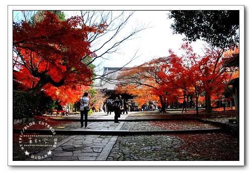 京都,真如堂