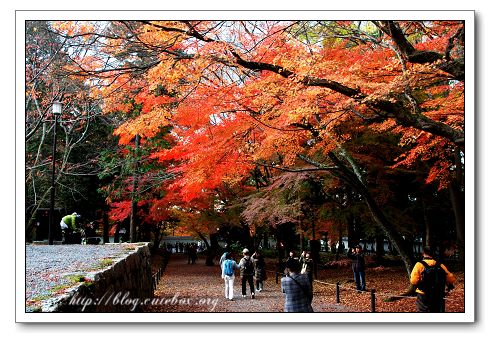 京都,南禪寺,蹴上傾斜鐵道