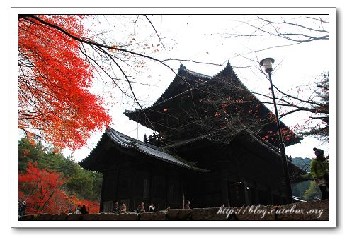 京都,南禪寺,蹴上傾斜鐵道