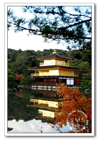 京都,金閣寺