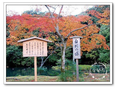 京都,金閣寺