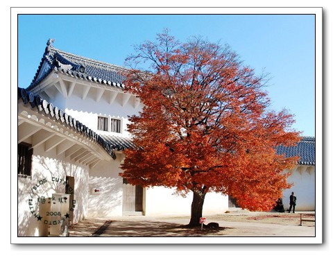 姬路城,姬路