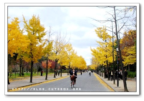 大阪,大阪城公園