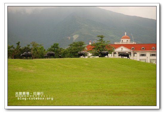 花蓮,新光兆豐休閒農場