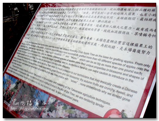 台中,福壽山農場