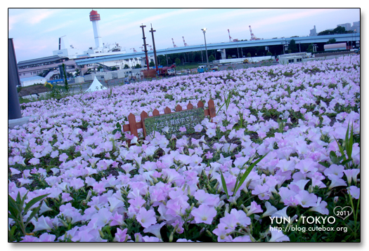 台場海濱公園,東京