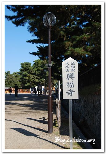 奈良, 猿澤池、興福寺