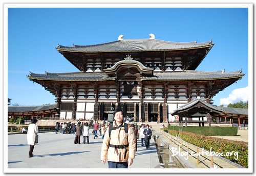 奈良, 東大寺
