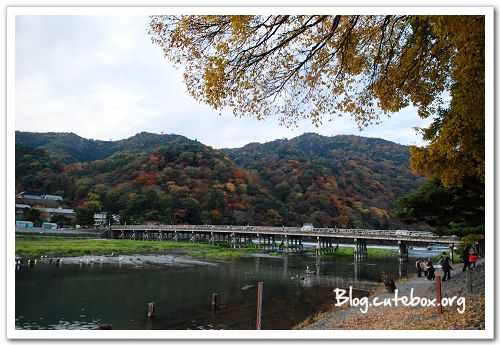 京都, 渡月橋