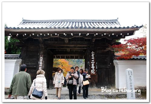 京都, 常寂光寺、落柿舍、二尊院