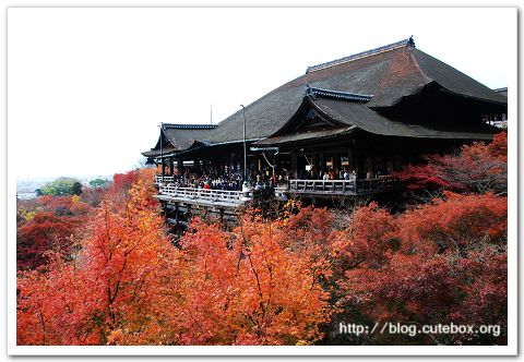 京都,清水寺